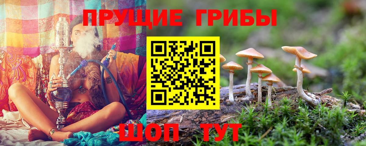 даркнет сайт  Псилоцибиновые грибы Cubensis  Вход с VPN  Чехов 