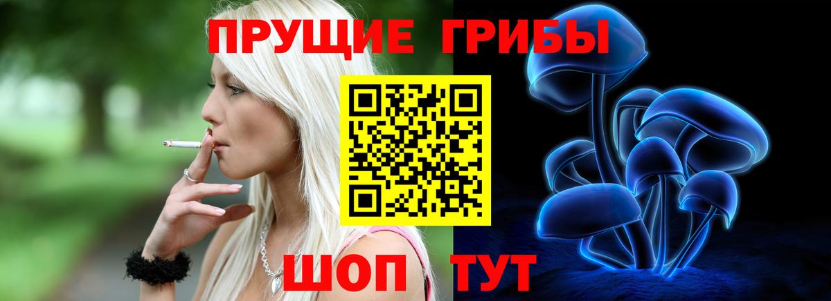 Псилоцибиновые грибы мицелий Чехов